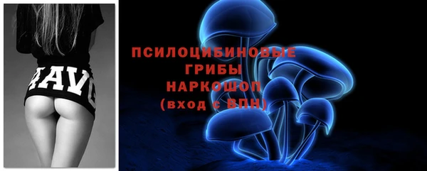 сатива Белоозёрский