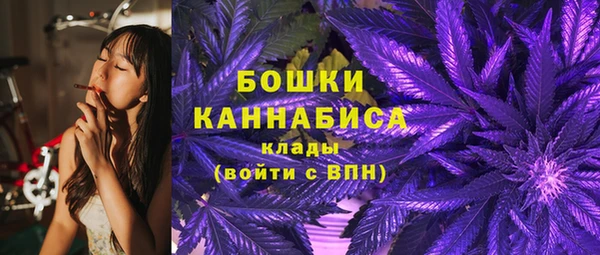сатива Белоозёрский