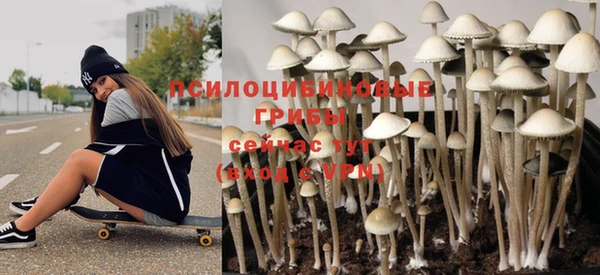 jwh Белокуриха