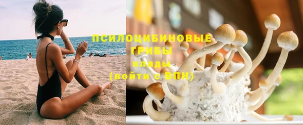 ешки Богданович